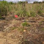 IMG-20170308-WA0046