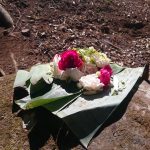DSC_0377